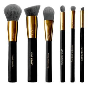 Billion Dollar Brushes Pro Brush Essentials Kit